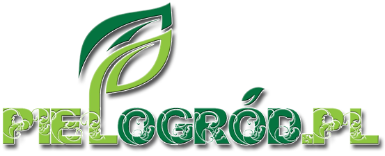 Pielogrod.pl logo